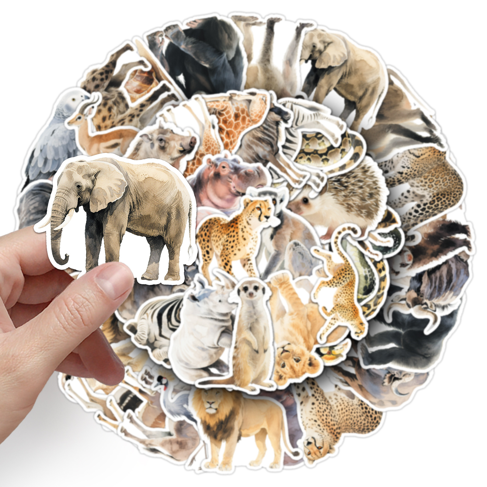 50PCS African Animal Cartoon G - Kids Toys Elephant review and price