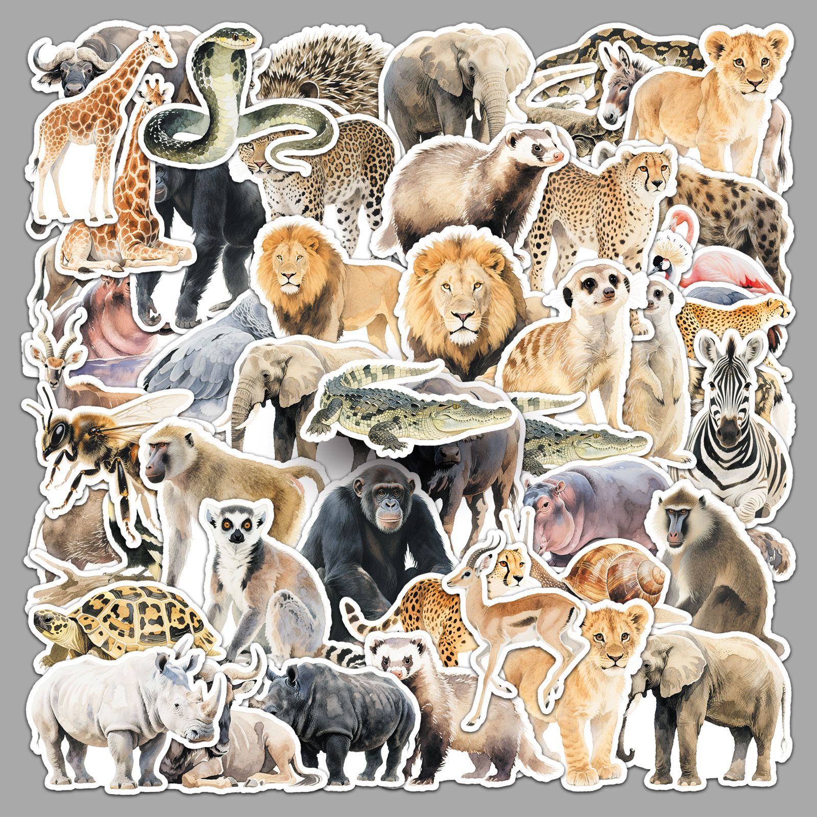 50PCS African Animal Cartoon G - Kids Toys Elephant review and price