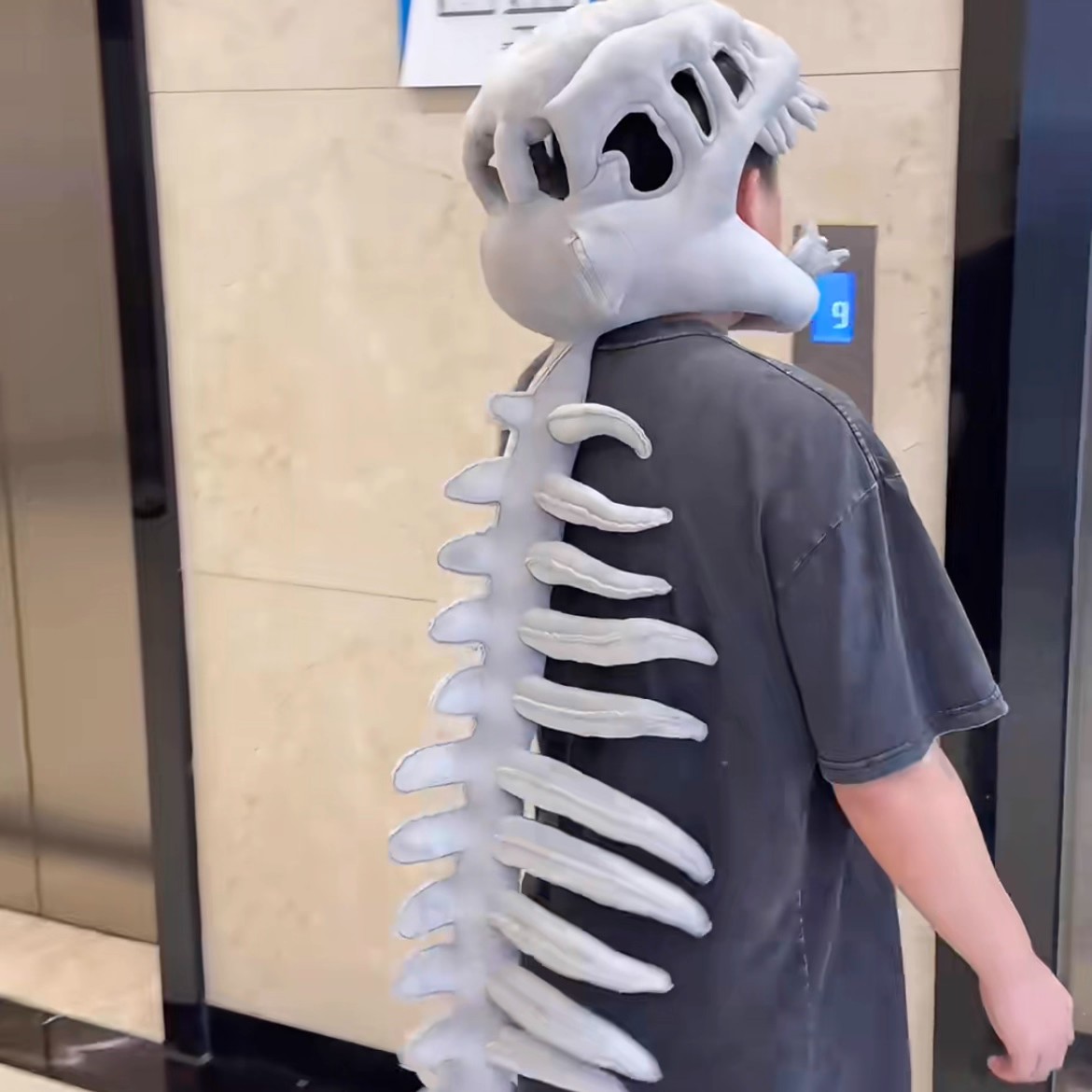 Chinese Dinosaur Skeleton Plus - Kids Toys Dinosaur review and price